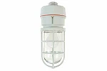 Larson Class 1 Incandescent Light 75 Watts Non-metallic. Fixed Price $69.95.
