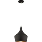 Livex Lighting 41186-04 Allison Mini Pendant Black. Fixed Price $119.96.