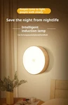 1PC Motion Sensor Night Light-wireless Led Detector Lamp For Bedroom, Staircase. Fixed Price $6.99.