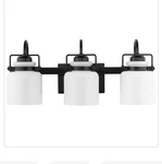 Progress Lighting Fessler 3 Matte Black Opal Glass Farmhouse Fixture. Fixed Price $49.95.