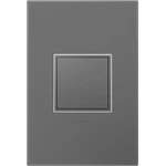Legrand Adorne 15AMP 1-GANG Pop-out Outlet Magnesium With Matching Wall Plate. Fixed Price $110.17.