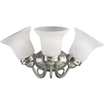 Progress Lighting P3369-09 3-LIGHT Bath Bracket With Etched Alabaster Style. Fixed Price $63.00.