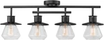 59530 4-LIGHT Complete Track Lighting Kit, Dark Bronze, Clear Glass Bell Shaped. Fixed Price $157.99.