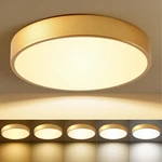 Gold 12-INCH Dimmable Led Flush Mount Ceiling Light With 5CCT For Home. Fixed Price $52.99.
