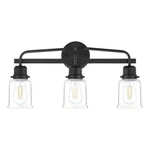 Hampton Bay Timphaven 22-1/8 In. W 3-LIGHT Vanity Matte Black Clear Glass. Fixed Price $44.95.