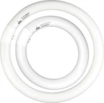 FC8T9/CW 22W And FC12T9/CW 32W Cool White Round Fluorescent Light Bulb Set .... Fixed Price $38.50.